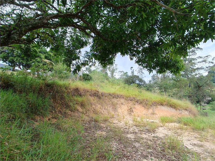 Foto REO1089329