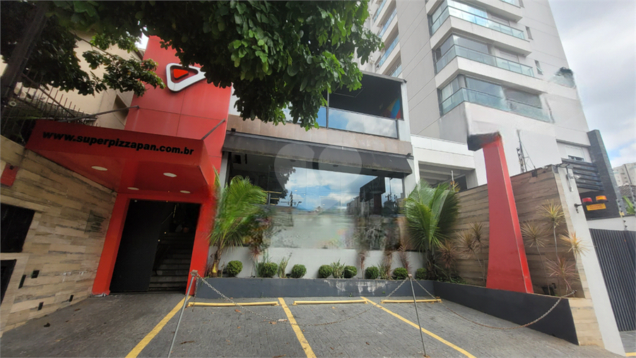 Foto REO1089332