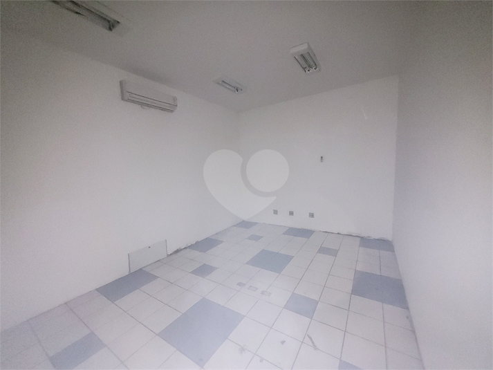 Foto REO1089344