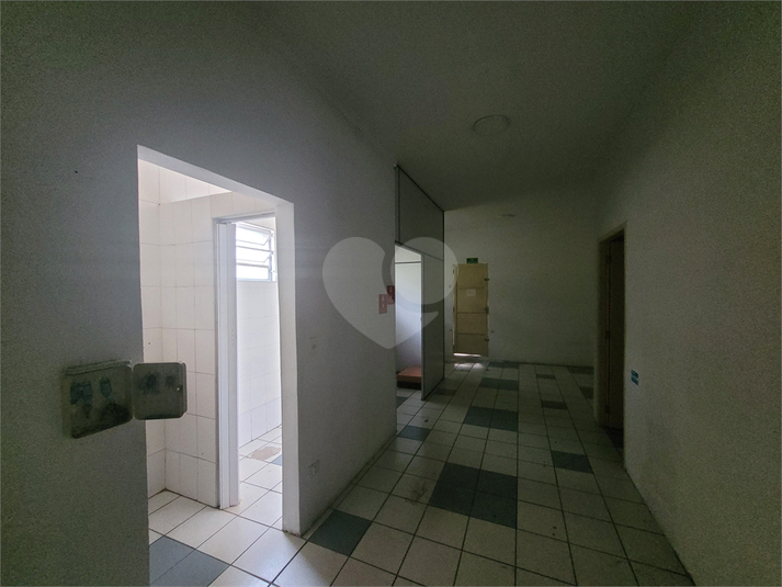 Foto REO1089344
