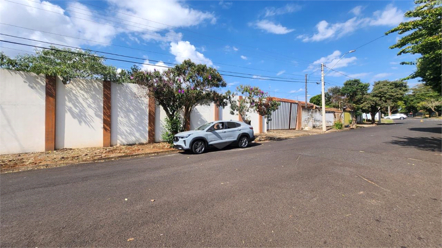 Foto REO1089346