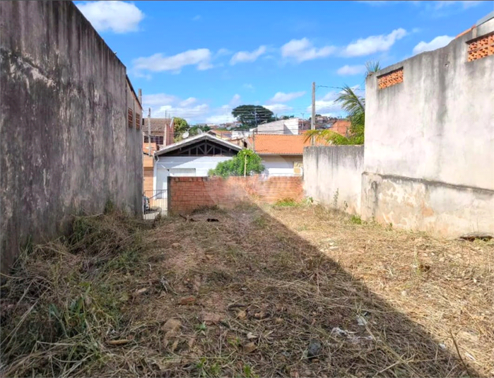 Foto REO1089351