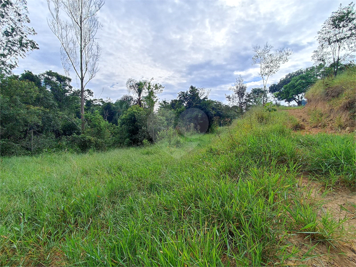 Foto REO1089352