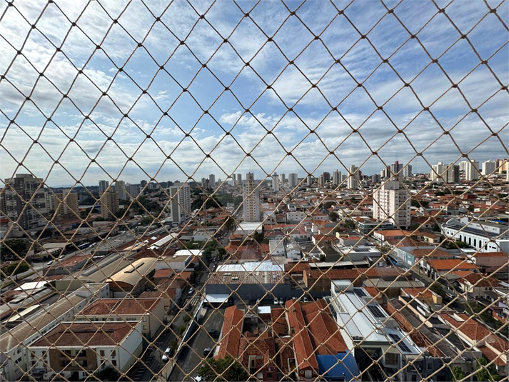 Foto REO1089358