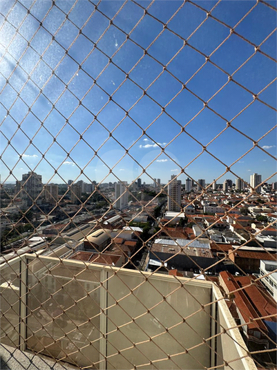Foto REO1089358