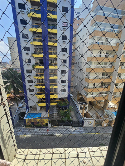Foto REO1089364
