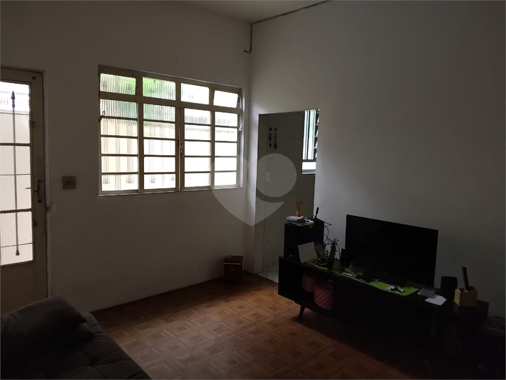 Foto REO1089366