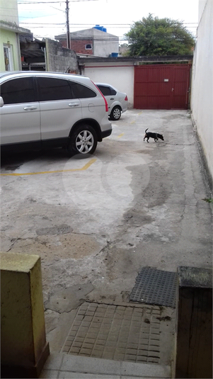 Foto REO1089366
