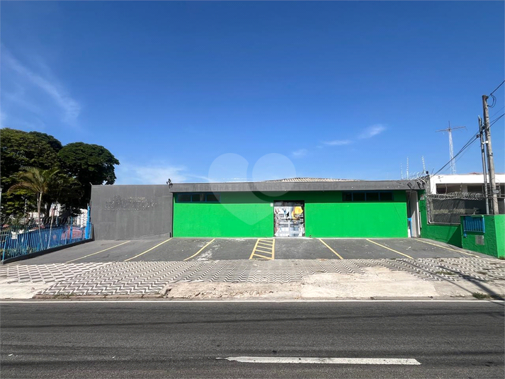 Foto REO1089376