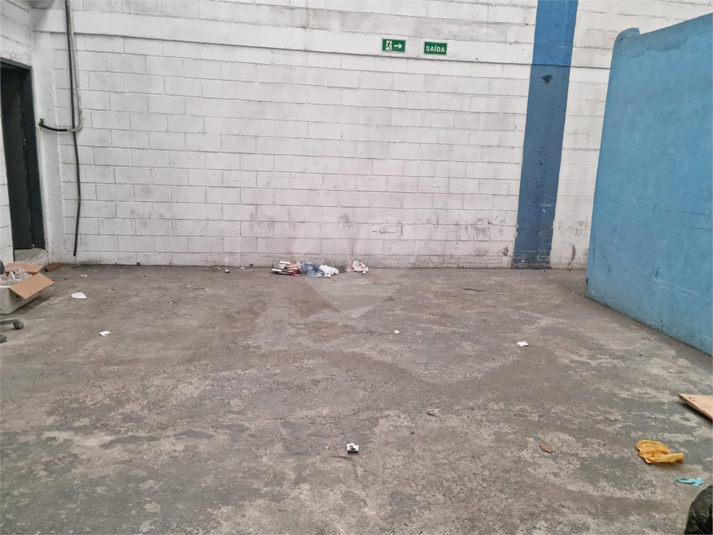 Foto REO1089380