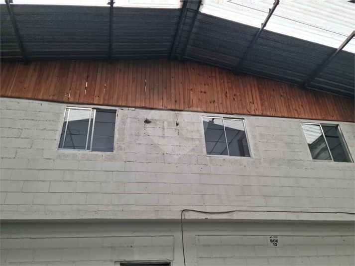 Foto REO1089380