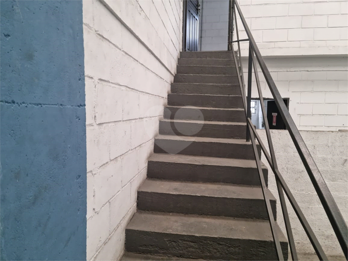 Foto REO1089380