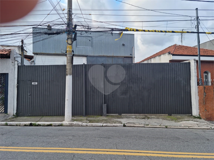 Foto REO1089380