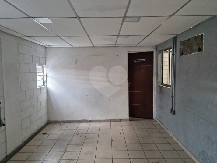 Foto REO1089380