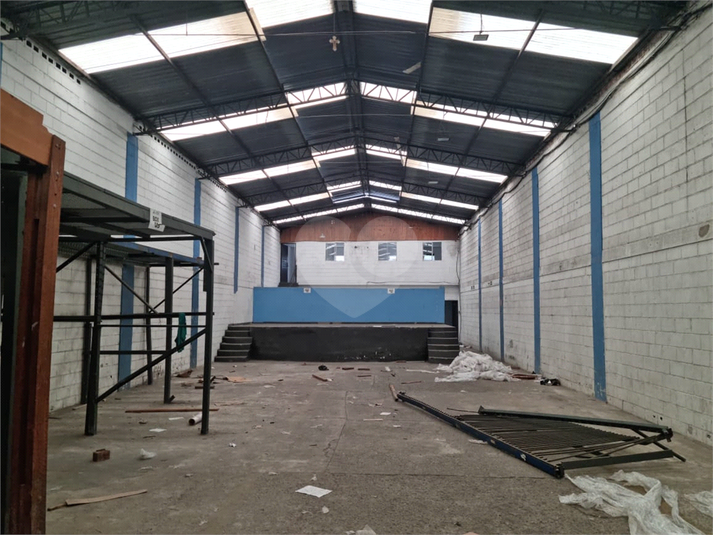 Foto REO1089380
