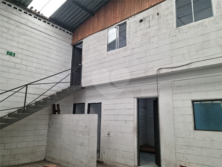 Foto REO1089380