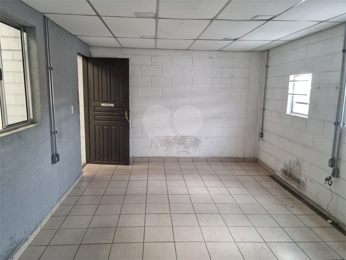 Foto REO1089380