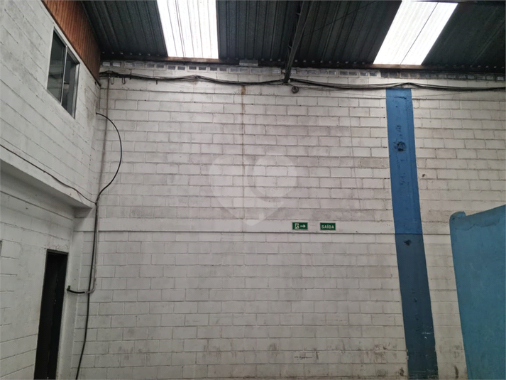 Foto REO1089380