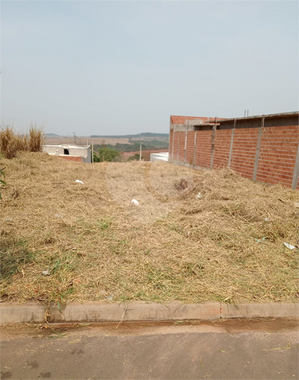 Foto REO1089384