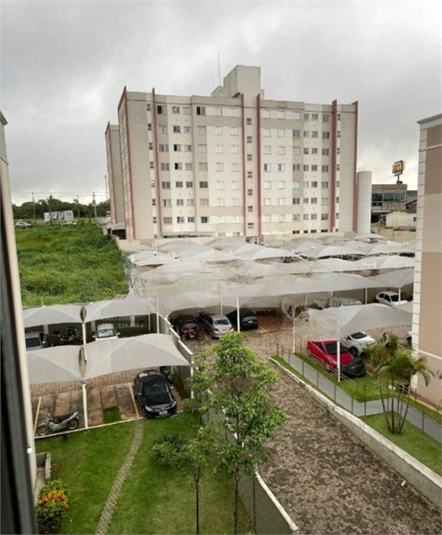 Foto REO1089387
