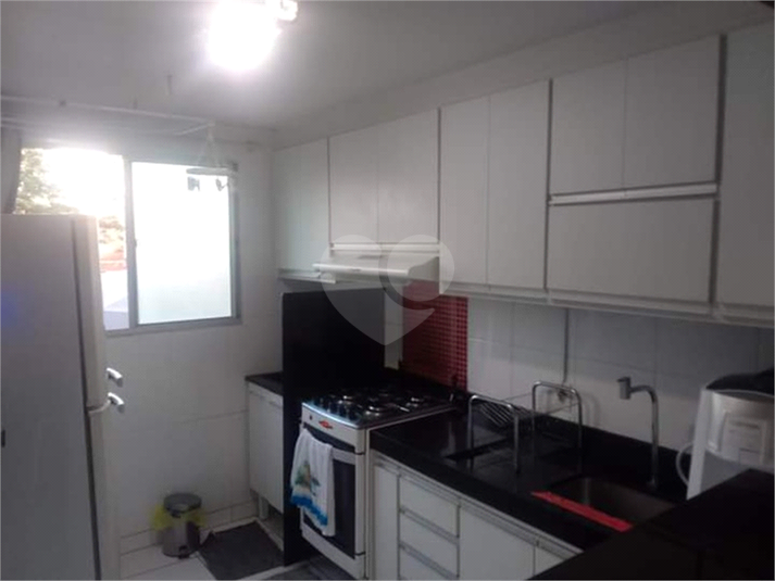 Foto REO1089387