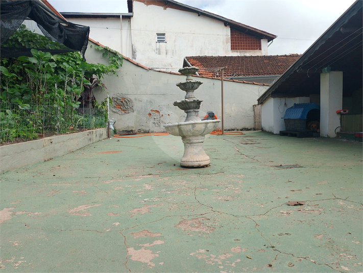 Foto REO1089394