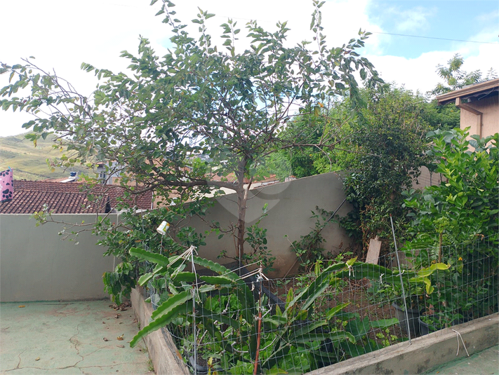 Foto REO1089394