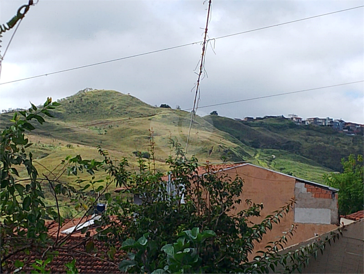 Foto REO1089394
