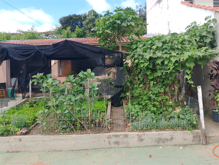 Foto REO1089394