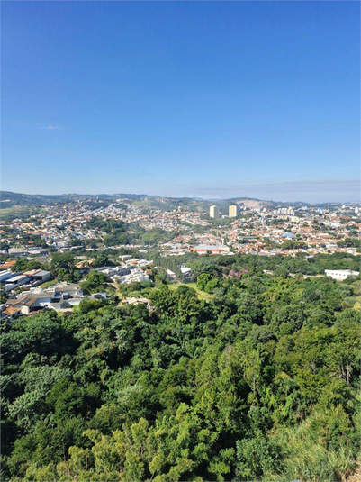 Foto REO1089395