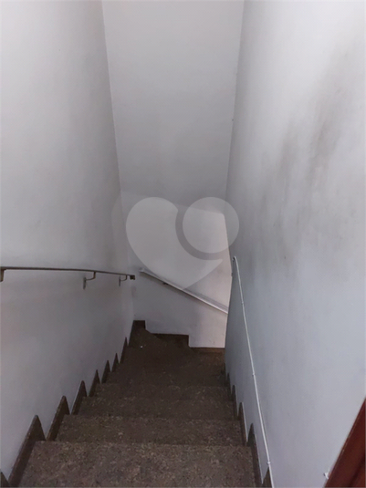 Foto REO1089399