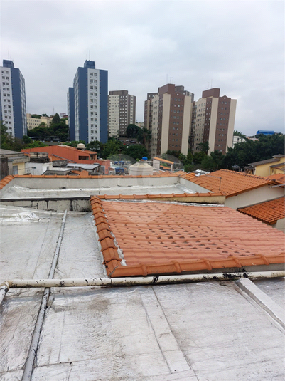 Foto REO1089399