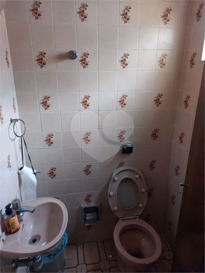 Foto REO1089399