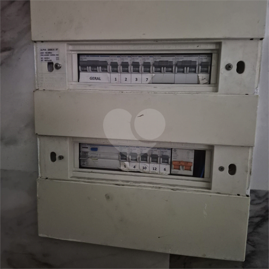Foto REO1089416