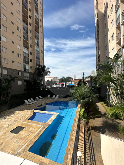 Foto REO1089417