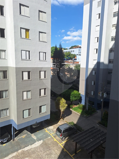 Foto REO1089427