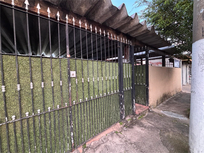 Foto REO1089431
