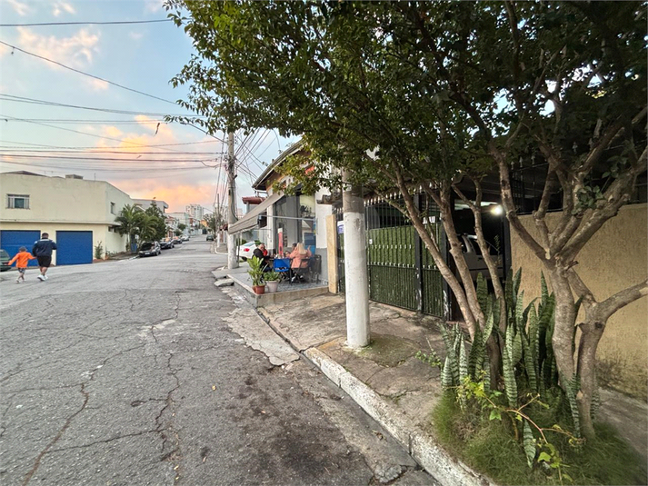 Foto REO1089431