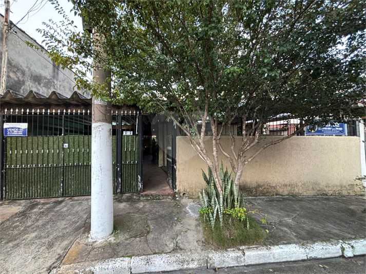 Foto REO1089431