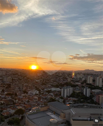 Foto REO1089434