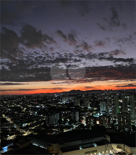 Foto REO1089434