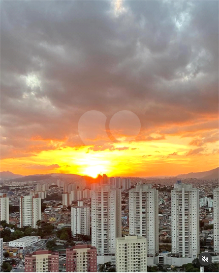 Foto REO1089434