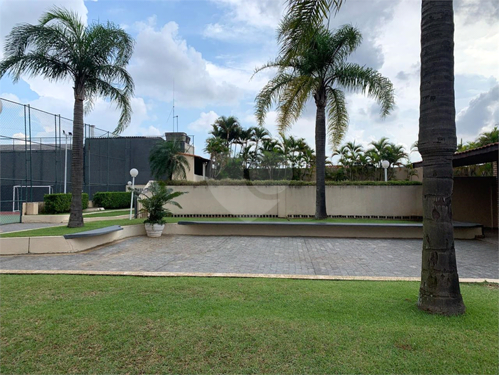 Foto REO1089434
