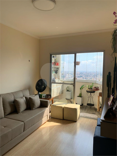 Foto REO1089434