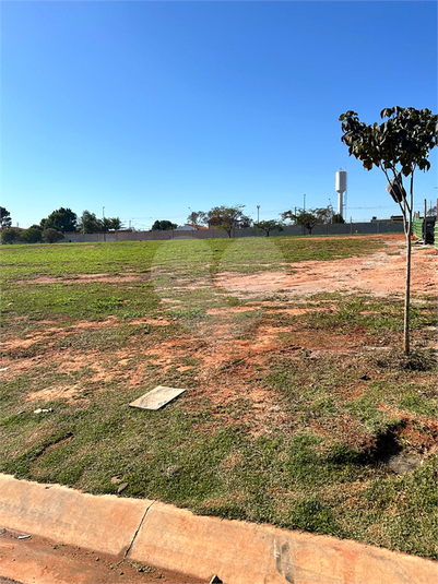 Foto REO1089435