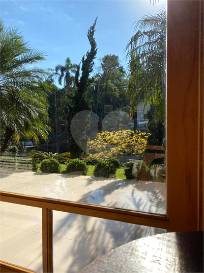 Foto REO1089438