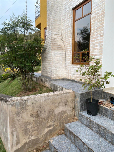 Foto REO1089438