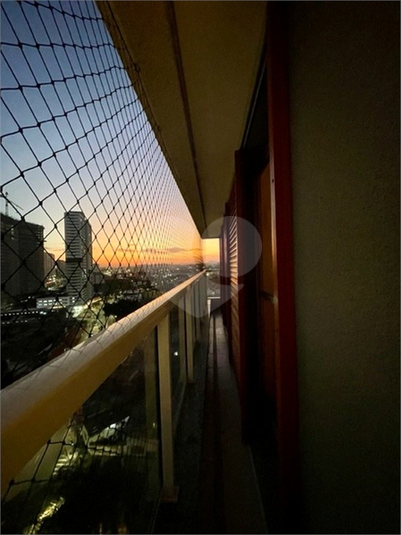 Foto REO1089452