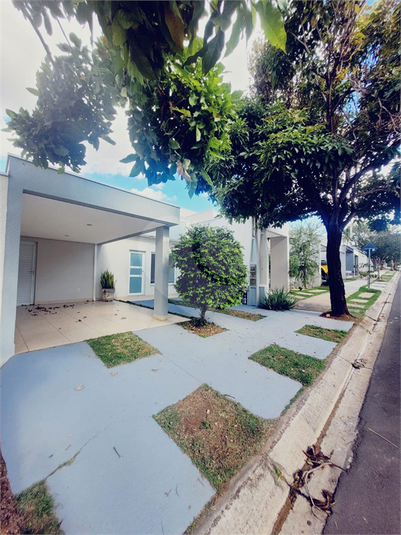 Foto REO1089453