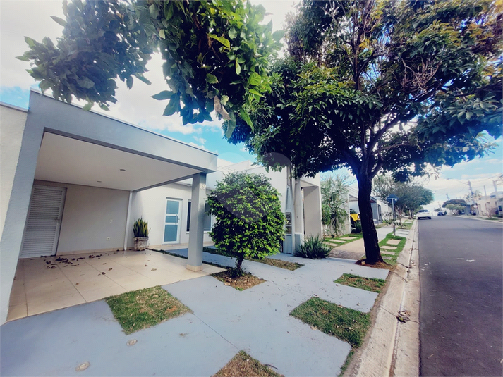 Foto REO1089453